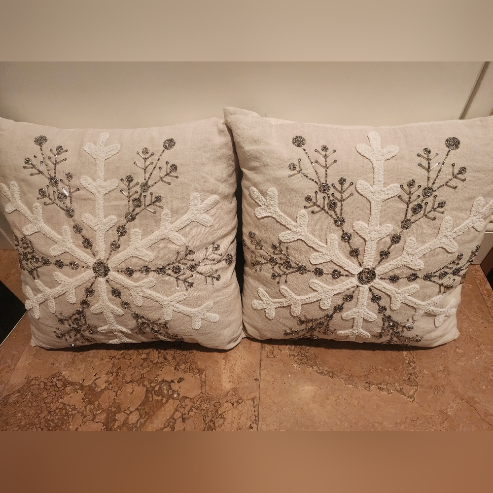 Two New Decorative Pillows